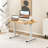 Adjustable Height Steel Standing Desk-1116431931