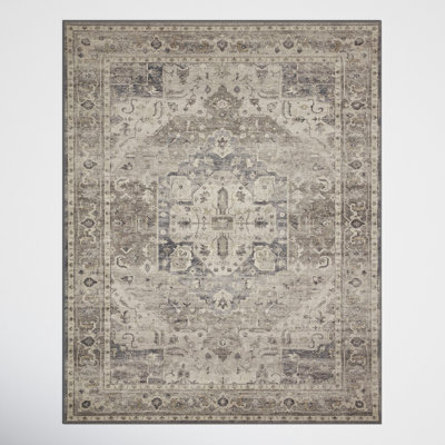 Claribel Oriental Indoor Rug