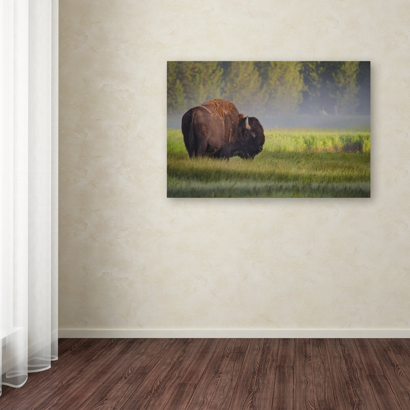 Bison in Morning Light Framed Canvas Print, 20" x 25"