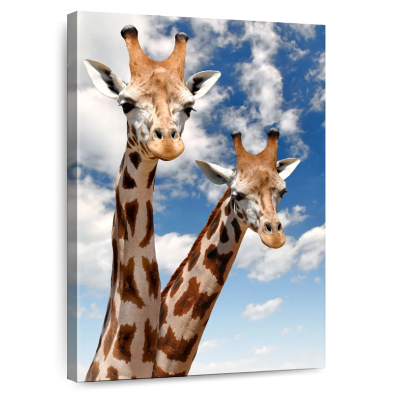 Brampt Happy Giraffes, H 24 po x l 16 po