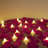 Unscented Flameless Candle