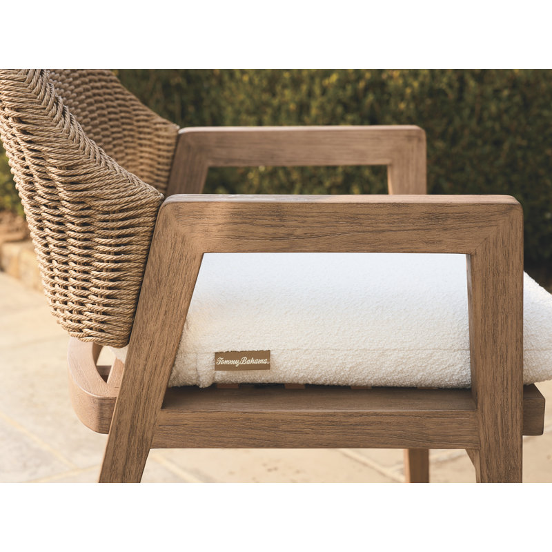 Arm Dining Chair