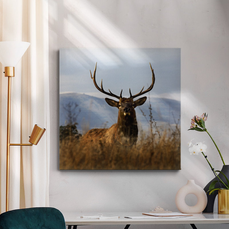 Toile tendue Big Elk Charlo-Premium Gallery - prête à être accrochée