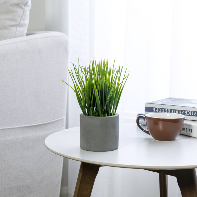 3 - Piece Artificial Onion Grass in Cement Pot Set