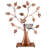 Breezy 48-Pair Jewellery Storage Display Stand