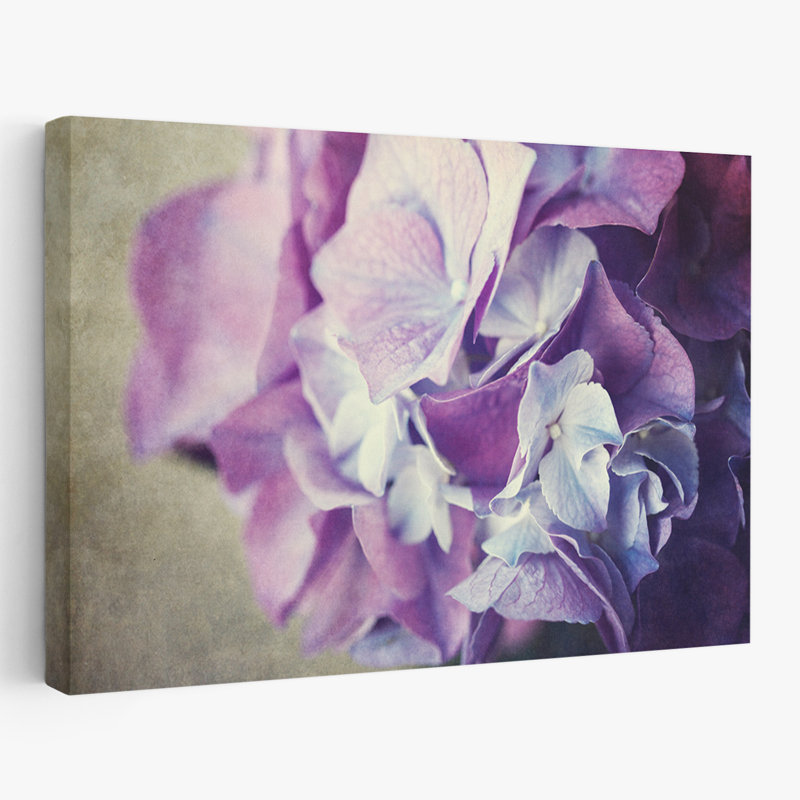 Plantes, fleurs, hortensia, art mural, H 32 po x l 48 po