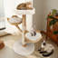 Alodie 111cm H Cat Tree