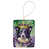 Border collie 4745