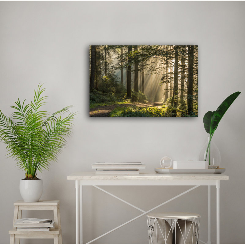 Morning Walk - Reproduction de photo sur toile tendue, H 30 po x l 40 po x p 1 po