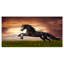 « black friesian cheval gallop », impression sur toile tendue-25565534