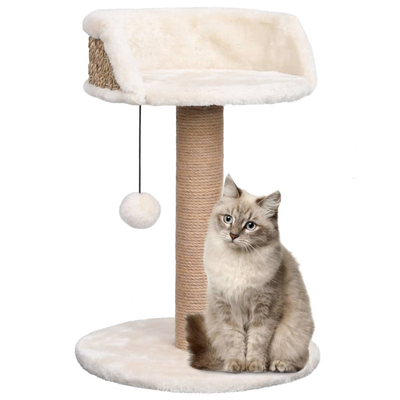 Newlyn Cat Perch