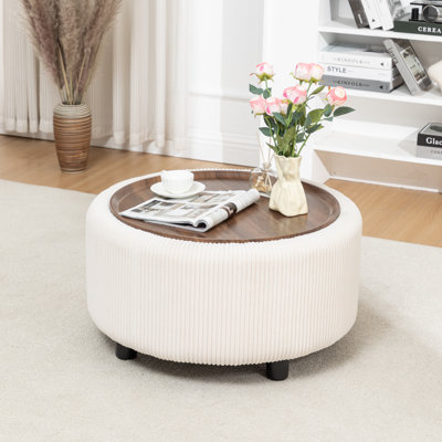 Pietsch Round Coffee Table with Storage