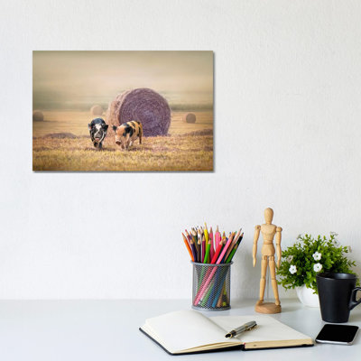 Piglets In Moring Fog by Karen Burke - Wrapped Canvas Print