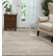 Zendejas Indoor Rug