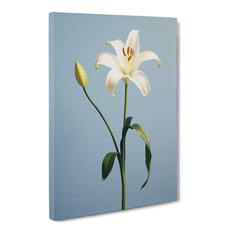 Lily Flower Minimalism - Wrapped Canvas, 50cm H x 35cm W x 3cm D