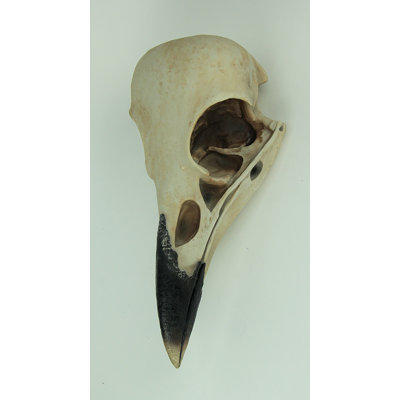 Hammonds Landscape & Nature Figurines & Sculptures