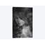 « b&w ii », impression sur toile-32897693-72219911-72220766
