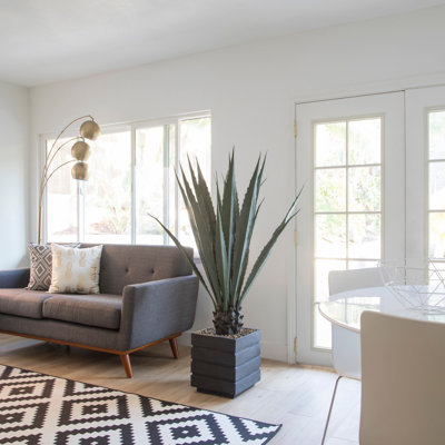Agave artificielle de 63,5 po Roemer