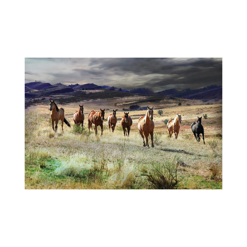 Storm Coming 1 Piece Wrapped Canvas Wall Art, 30.48 cm H x 45.72 cm W