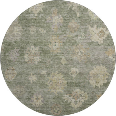 Premium Machine Washable Mayfield AMF2305 Global Rug