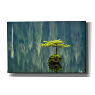 «Fairy Lake Bonsai» par Tim Oldford, art mural sur toile