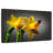 Harnek Ladybug On Daffodil-108155656