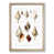 Oak Framed selected