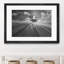 «Tree Shadow» mat et encadré 24 po x 36 po-68104090-89255312