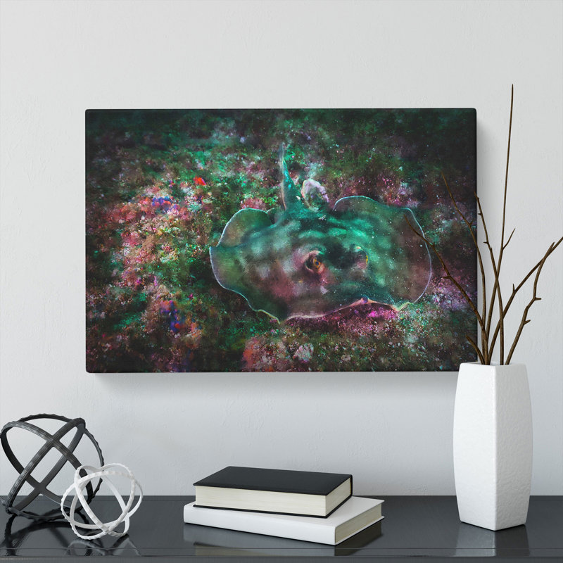 Sting Ray - Wrapped Canvas, 50cm H x 76cm W x 3cm D