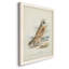 Toile encadrée de qualité supérieure Hawk Owl - prête à être accrochée-604141392-604141394