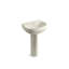 Wellworth Ceramic Pedestal Bathroom Sink with Overflow-1958769600-1903140507