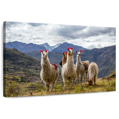 Lares Llamas