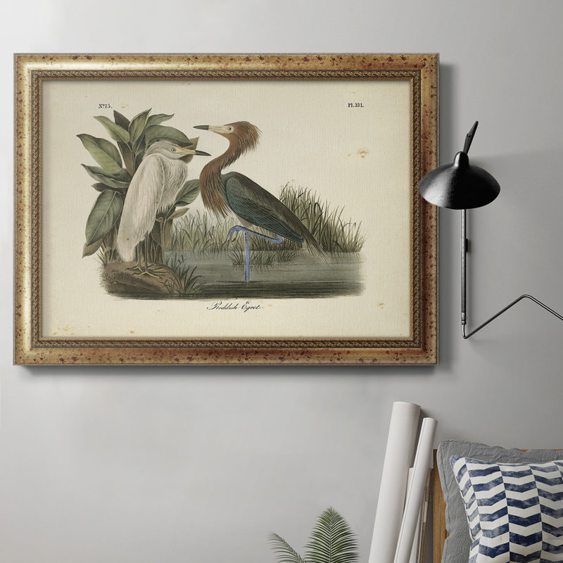 Audubons Reddish Egret - reproduction d'art sur toile