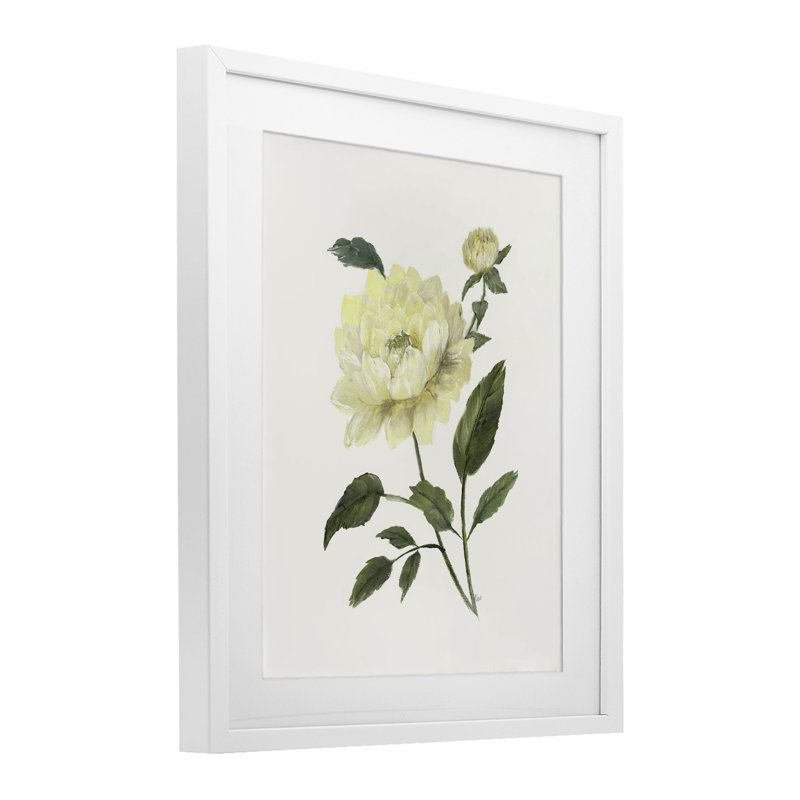 Pivoine crème avec bourgeons crème sous le verre, design par Nan, H 16 po x l 13 po, Bord de mer blanc sous verre encadré