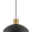 Liese Pendant