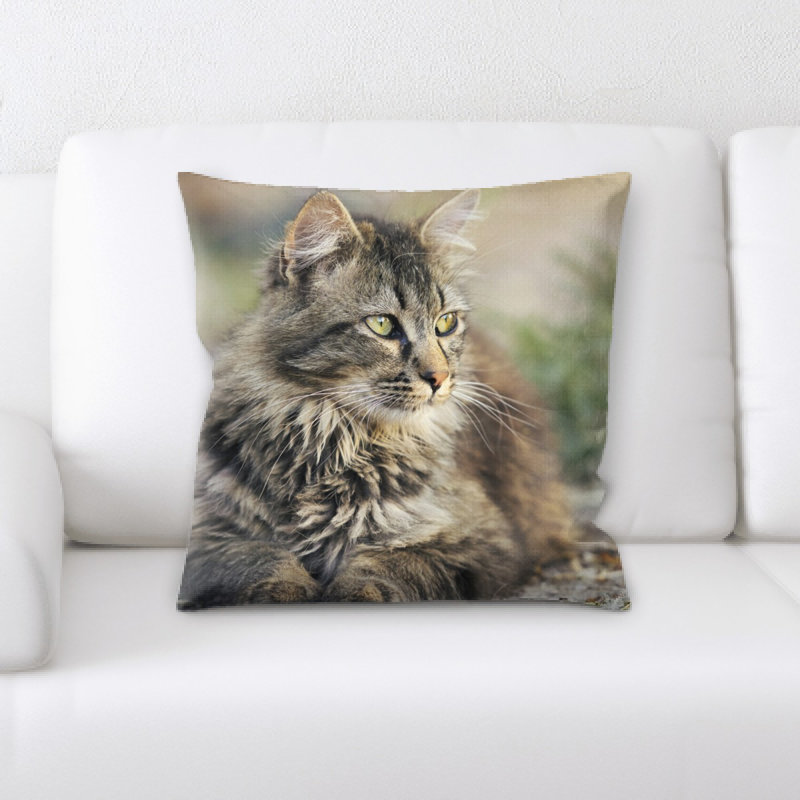 Coussin pour chat