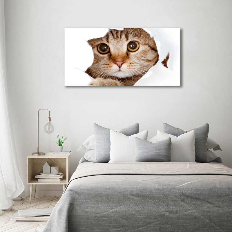 Cat - Wrapped Canvas Print