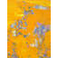176 Sole Print by Anne B. Schwartz-65828357-65852986