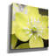 «Yellow Blossom» par PhotoINC Studio-816870736