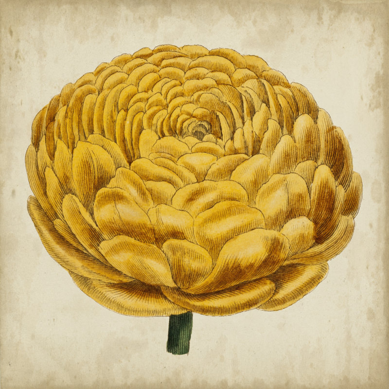 Pop Floral VIII by Vision Studio - No Frame Print on Canvas, 30cm H x 30cm W