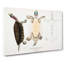 Kachuga Terrapin Illustrations by John Edward Gray - Wrapped Canvas Painting-55363196