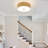 Allexia Acrylic Flush Mount