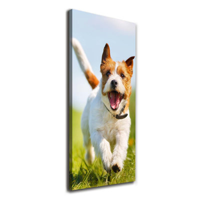 Dog Jack Russell - Wrapped Canvas Print