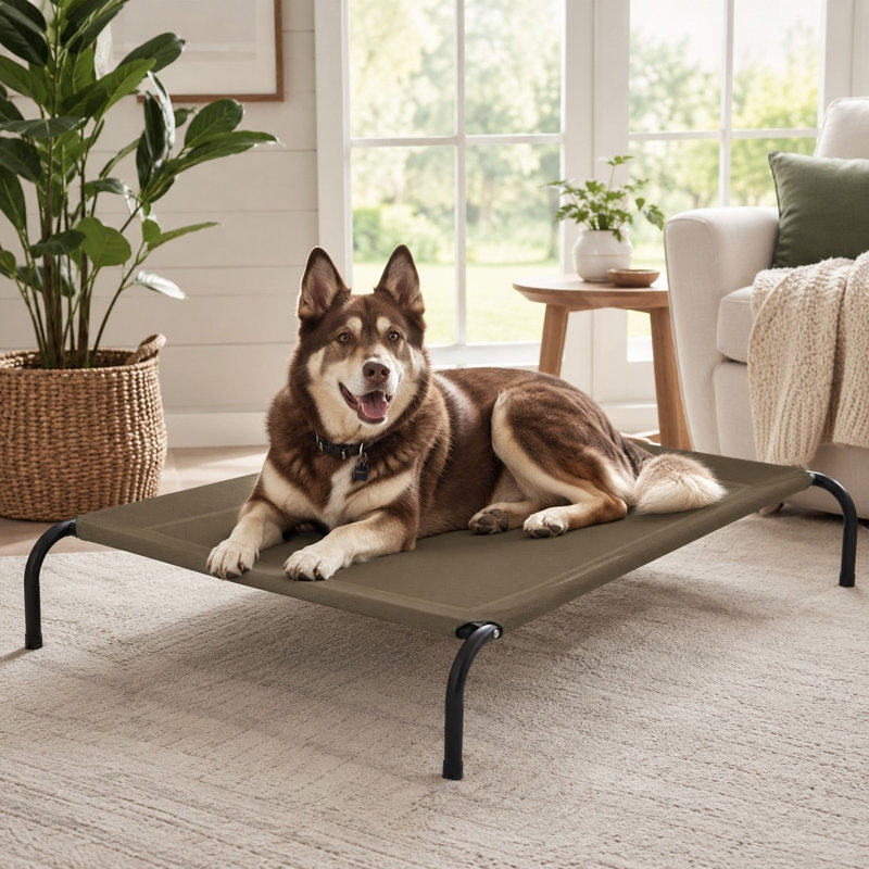 Lit d'extérieur pour chien 49 po, Brown