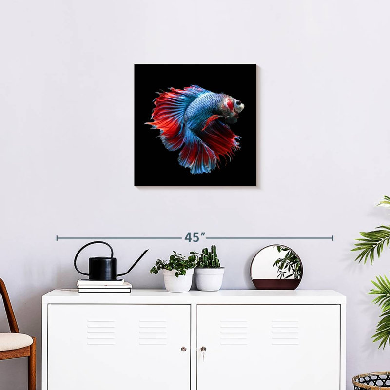 Brampt Blue And Red Betta Fish, 20" H x 20" W