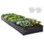 Lit de jardin surélevé Millerville - 12 x 4 x 1 pi-554797650-580623438