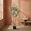 Plant-1480629305