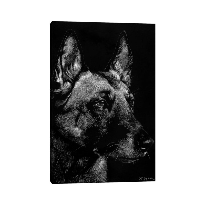 Canine Scratchboard V by Julie T. Chapman - Wrapped Canvas Print, 101.6 cm H x 66.04 cm W x 3.175 cm D