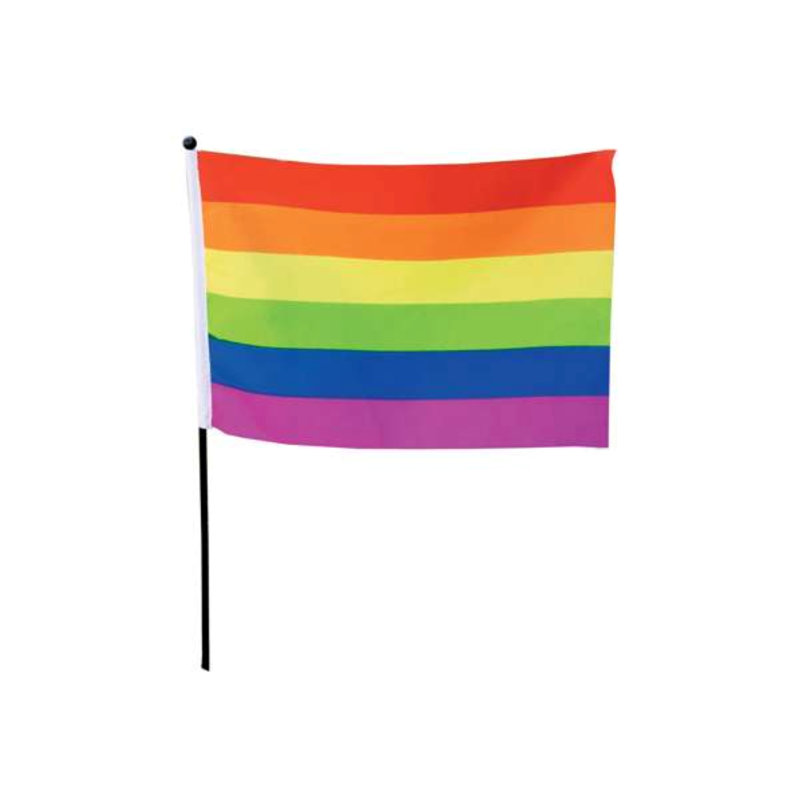 Drapeau maison en polyester fierté stick