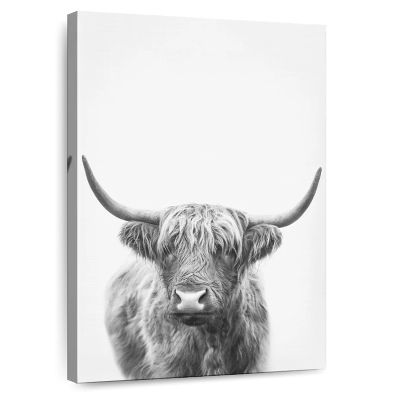 Highland Bull II, H 30 po x l 20 po